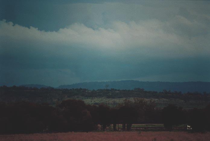 wallcloud thunderstorm_wall_cloud :  N of Theodore, Qld   21 November 2000