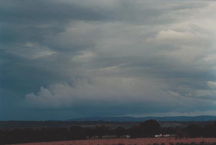 wallcloud thunderstorm_wall_cloud :  N of Theodore, Qld   21 November 2000