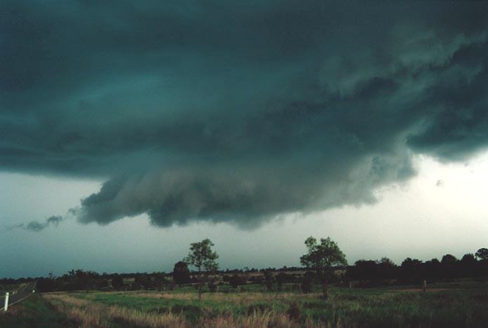 wallcloud thunderstorm_wall_cloud : Banana, Qld   21 November 2000