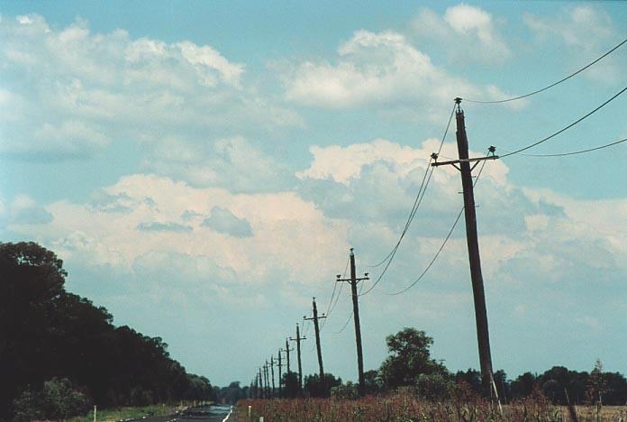 cumulus mediocris : E of Goondiwindi, Qld   27 November 2000