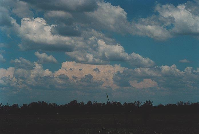 thunderstorm cumulonimbus_incus : E of Yelarbon, Qld   27 November 2000