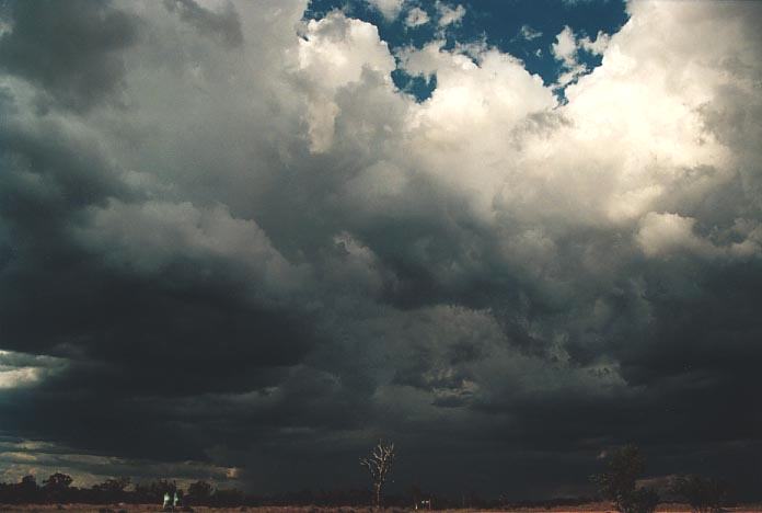 cumulonimbus thunderstorm_base : Coolmunda Dam, Inglewood, Qld   27 November 2000