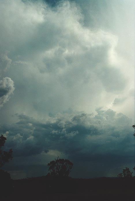 updraft thunderstorm_updrafts : W of Gunnedah, NSW   28 November 2000