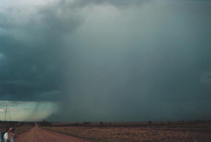 raincascade precipitation_cascade : Mullaley, NSW   28 November 2000