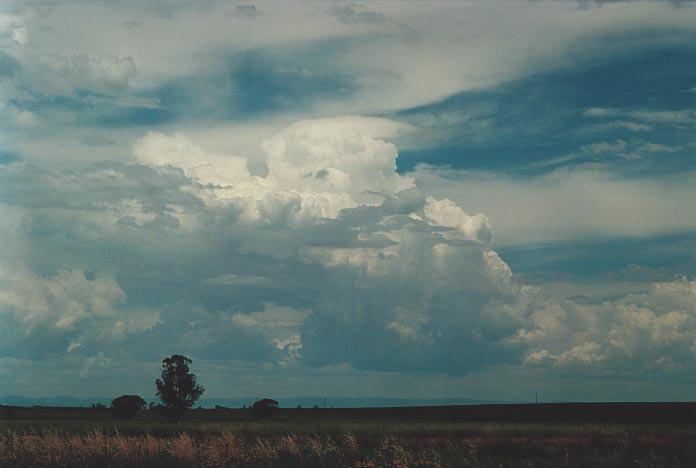 thunderstorm cumulonimbus_calvus : near Quirindi, NSW   29 November 2000