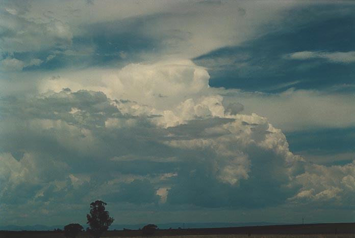 thunderstorm cumulonimbus_incus : Quirindi lookout, NSW   29 November 2000