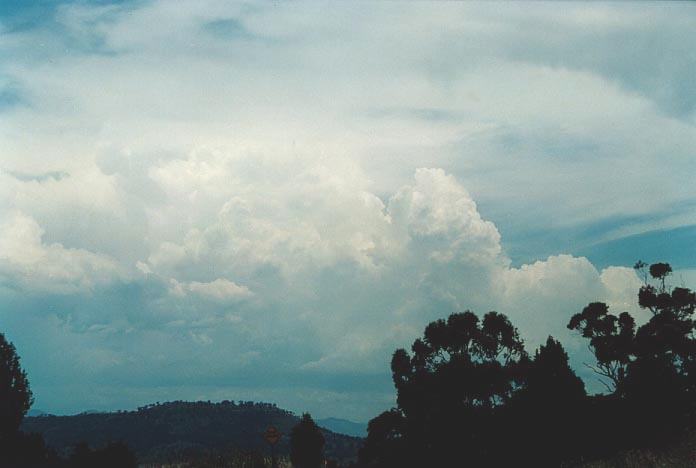 thunderstorm cumulonimbus_incus : Quirindi lookout, NSW   29 November 2000