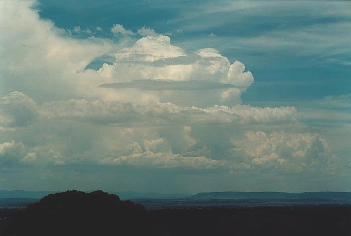 pileus pileus_cap_cloud : Qurindi, NSW   29 November 2000