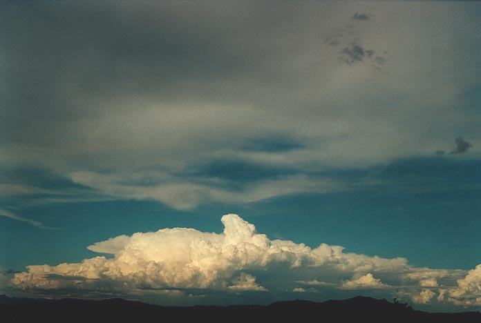 thunderstorm cumulonimbus_calvus : NW of Singleton, NSW   30 November 2000