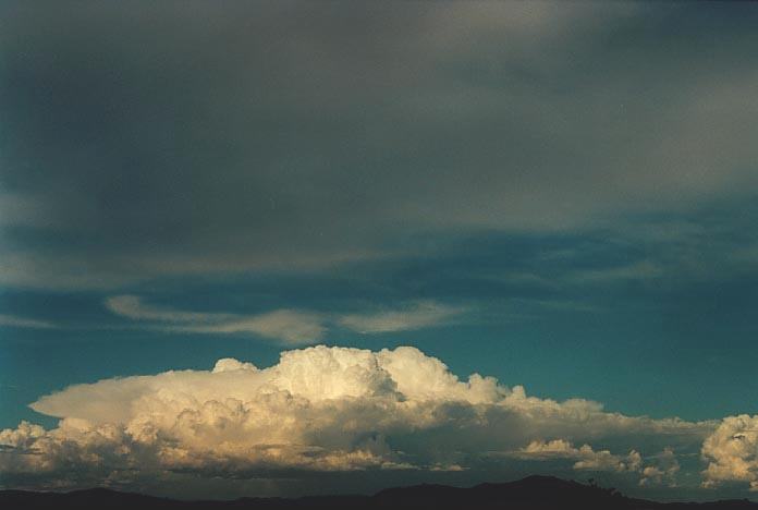 anvil thunderstorm_anvils : NW of Singleton, NSW   30 November 2000