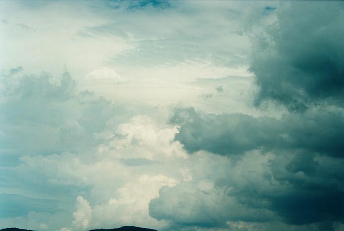 thunderstorm cumulonimbus_calvus : S of Tenterfield, NSW   1 December 2000