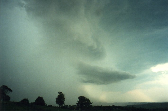 favourites michael_bath : McLeans Ridges, NSW   1 December 2000