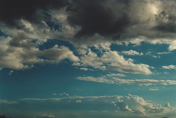 cumulus mediocris : Copeton Dam, NSW   4 December 2000