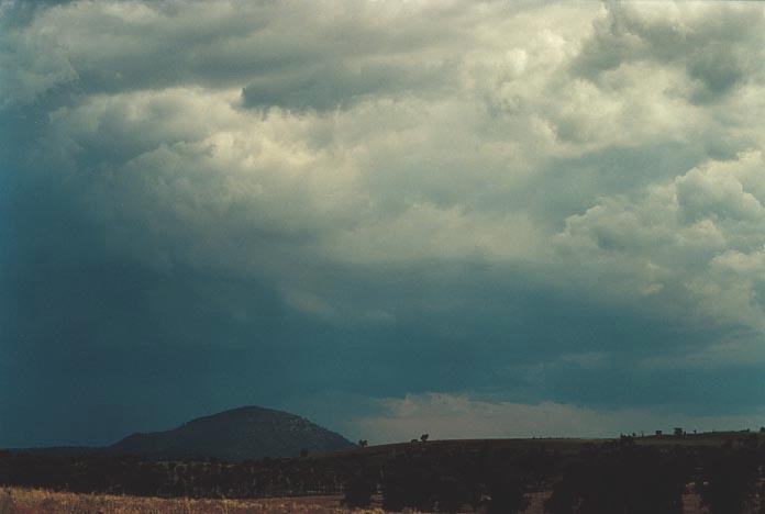 cumulonimbus thunderstorm_base : N of Jerrys Plains, NSW   6 December 2000