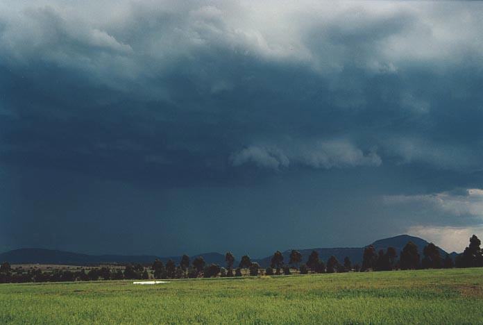 cumulonimbus thunderstorm_base : W of Jerrys Plains, NSW   6 December 2000