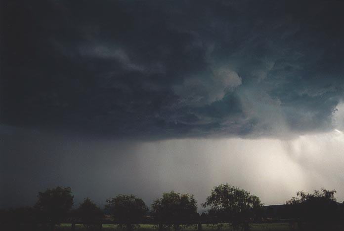 cumulonimbus thunderstorm_base : W of Jerrys Plains, NSW   6 December 2000