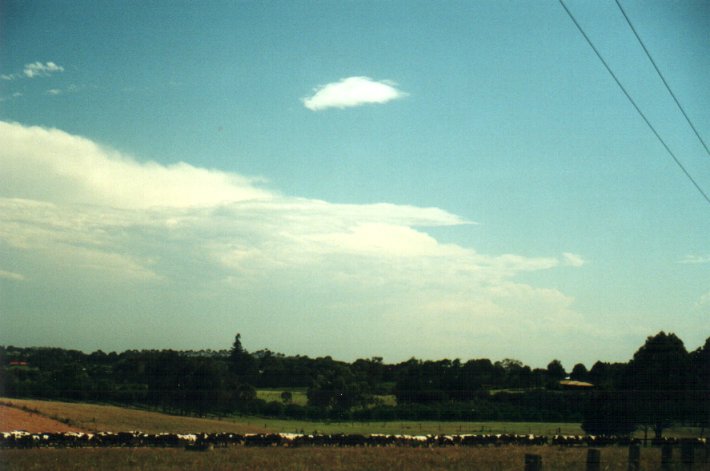 thunderstorm cumulonimbus_incus : Wollongbar, NSW   7 December 2000