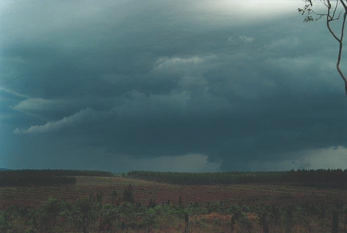 shelfcloud shelf_cloud : N of Grafton, NSW   8 December 2000