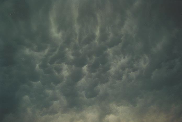 mammatus mammatus_cloud : Ulmarra, NSW   8 December 2000