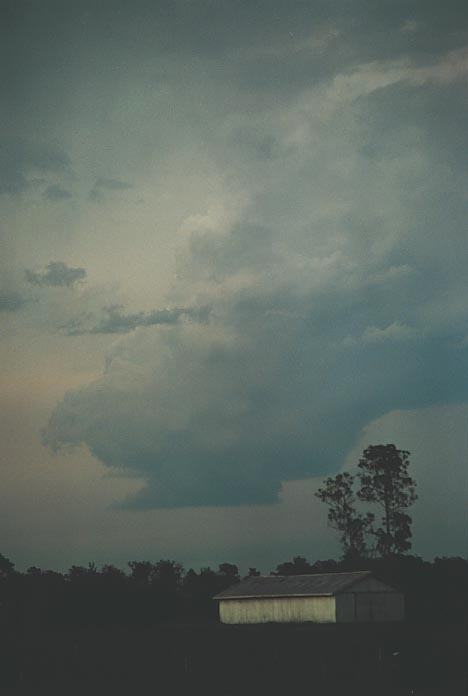 thunderstorm cumulonimbus_calvus : Ulmarra, NSW   8 December 2000