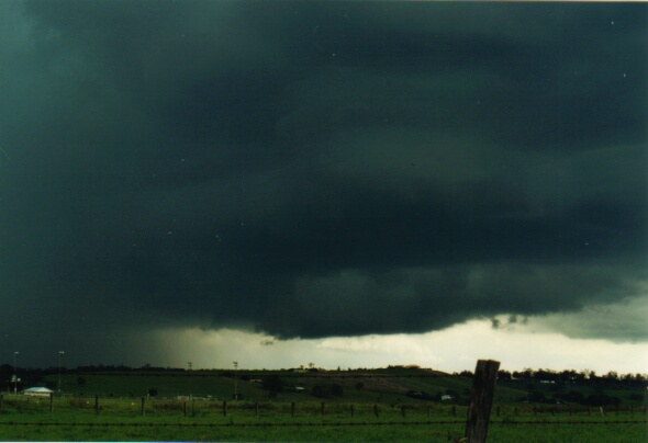 contributions received : Grafton, NSW<BR>Photo by Mario Orazem   8 December 2000