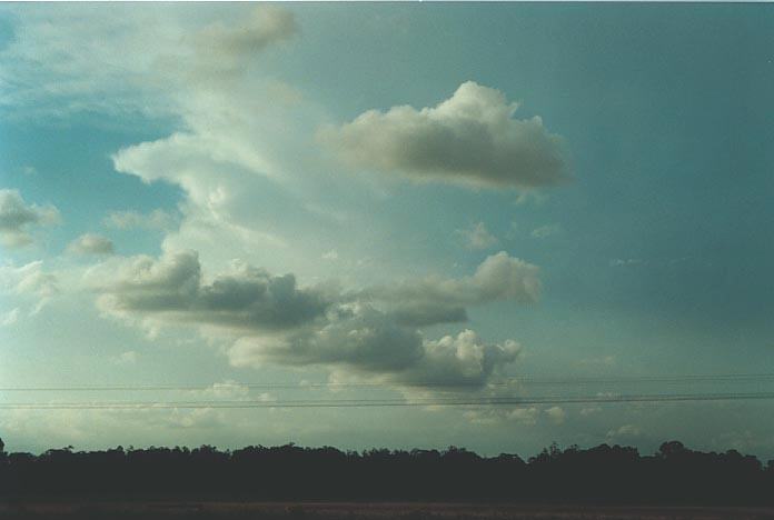 thunderstorm cumulonimbus_incus : S of Casino, NSW   9 December 2000