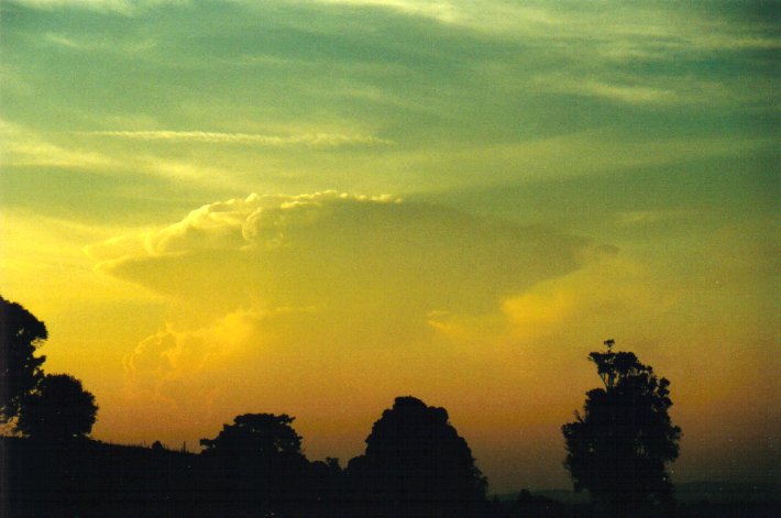 thunderstorm cumulonimbus_incus : McLeans Ridges, NSW   11 December 2000