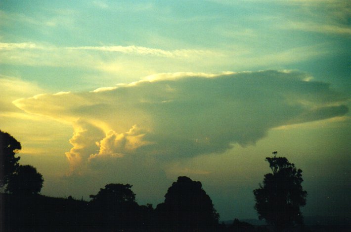 anvil thunderstorm_anvils : McLeans Ridges, NSW   11 December 2000