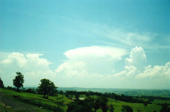 thunderstorm cumulonimbus_incus : McLeans Ridges, NSW   12 December 2000