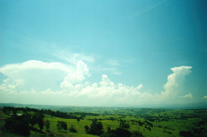 thunderstorm cumulonimbus_incus : McLeans Ridges, NSW   12 December 2000