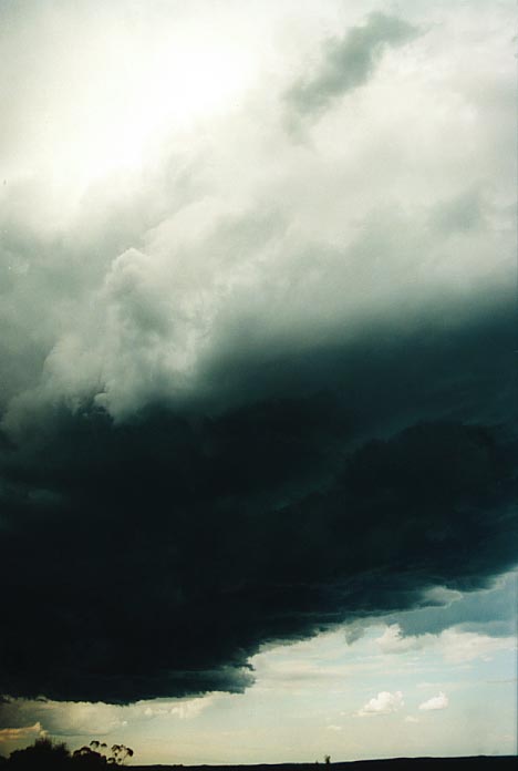 cumulonimbus thunderstorm_base : Bell, NSW   5 January 2001