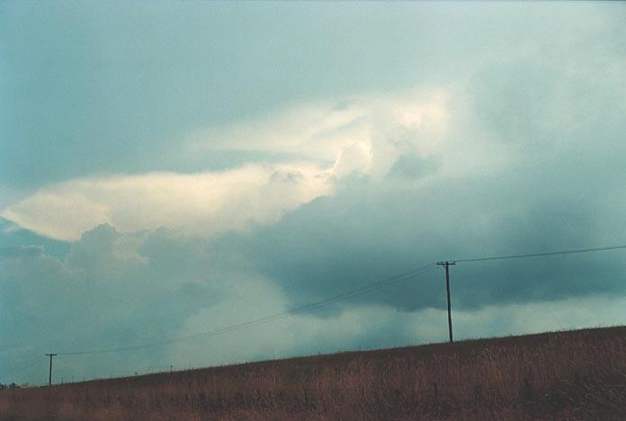 cumulonimbus thunderstorm_base : S of Lithgow, NSW   7 January 2001