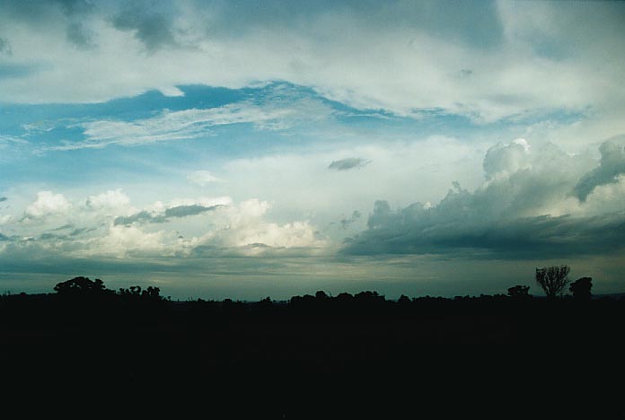 altocumulus altocumulus_cloud : Dunedoo, NSW   8 January 2001