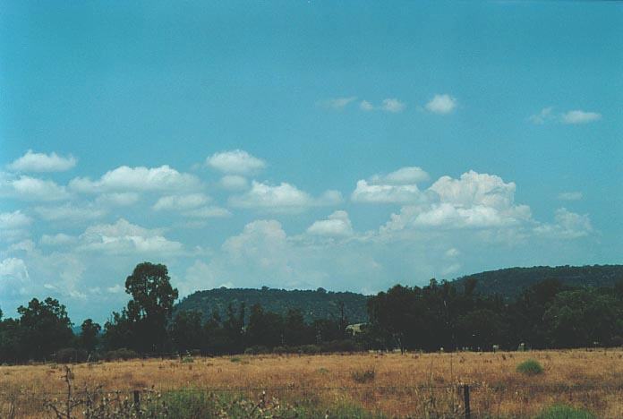 thunderstorm cumulonimbus_calvus : Gunnedah, NSW   8 January 2001