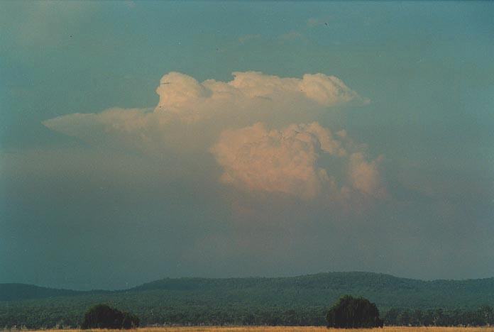 thunderstorm cumulonimbus_incus : Gunnedah, NSW   8 January 2001