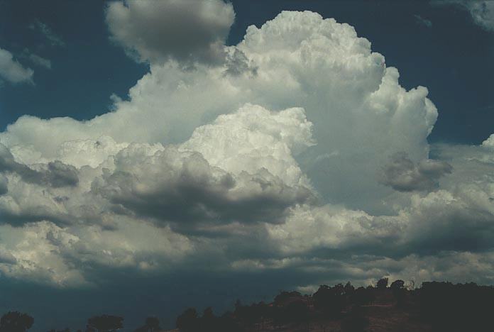 thunderstorm cumulonimbus_incus : E of Narrabri, NSW   16 January 2001