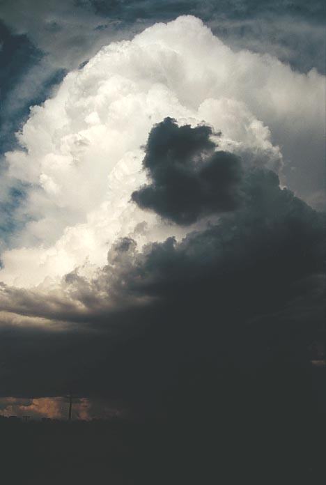 thunderstorm cumulonimbus_incus : Delungra, NSW   16 January 2001