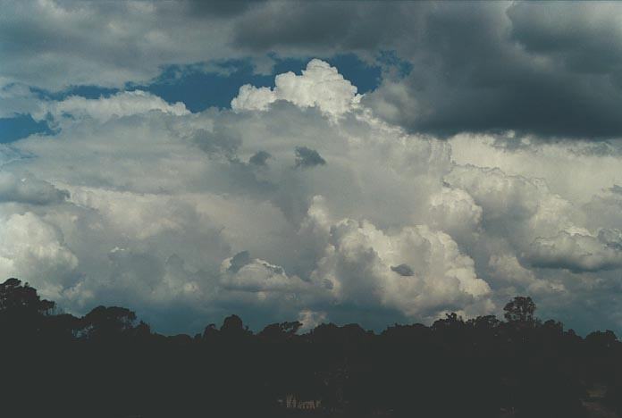 thunderstorm cumulonimbus_calvus : 30km E of Guyra, NSW   17 January 2001