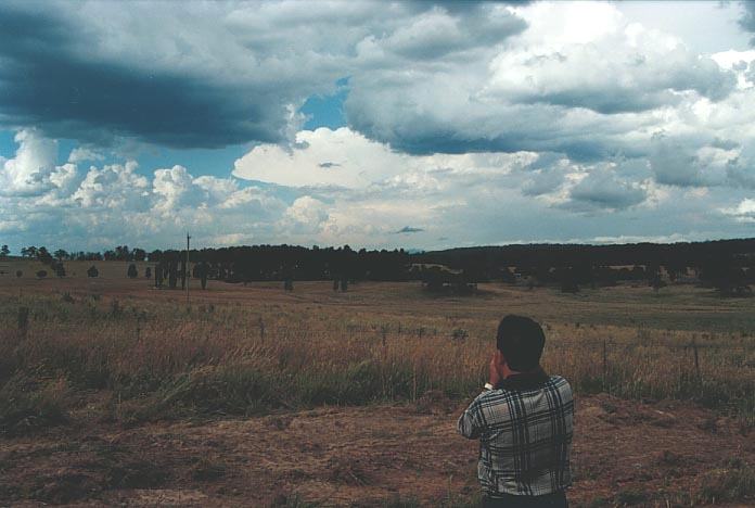 thunderstorm cumulonimbus_incus : W of Wongwibinda, NSW   17 January 2001