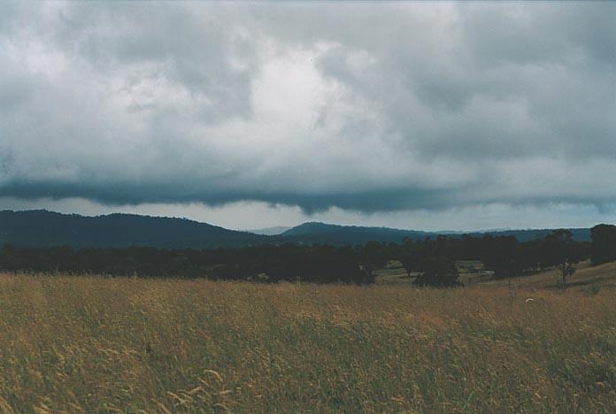 cumulonimbus thunderstorm_base : S of Wongwibinda, NSW   17 January 2001