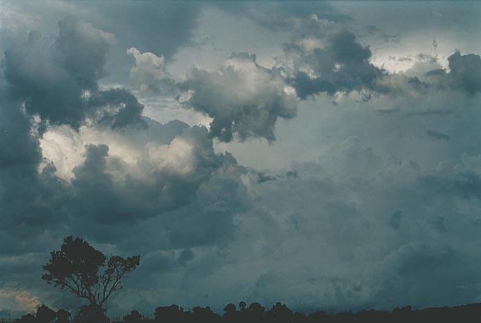 cumulonimbus supercell_thunderstorm : Wongwibinda, NSW   17 January 2001