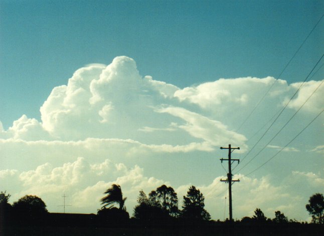 pileus pileus_cap_cloud : Parrots Nest, NSW   17 January 2001