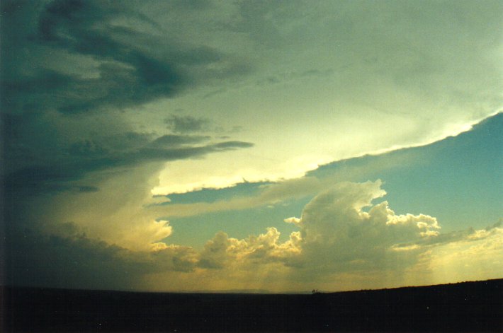 thunderstorm cumulonimbus_incus : Parrots Nest, NSW   17 January 2001