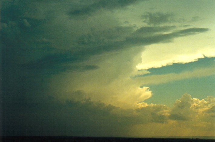 cumulonimbus supercell_thunderstorm : Parrots Nest, NSW   17 January 2001