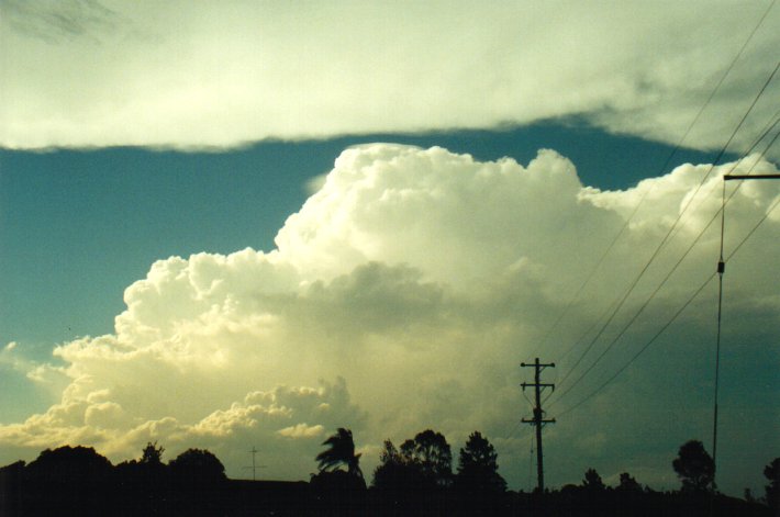 cumulonimbus supercell_thunderstorm : Parrots Nest, NSW   17 January 2001