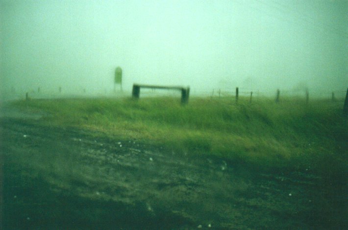 hailstones hail_stones : N of Casino, NSW   17 January 2001