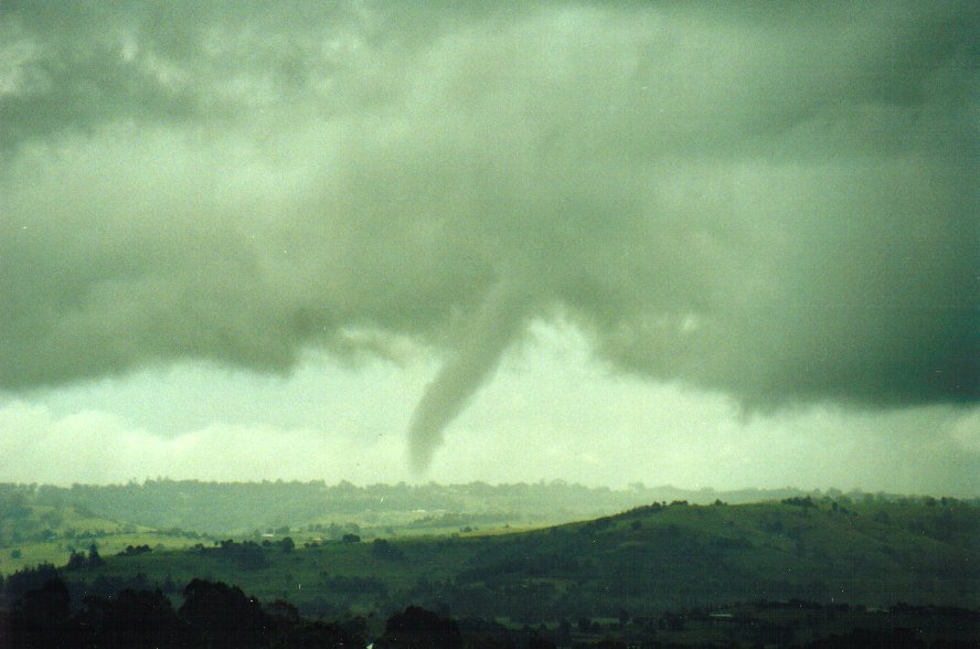 favourites michael_bath : McLeans Ridges, NSW   29 January 2001