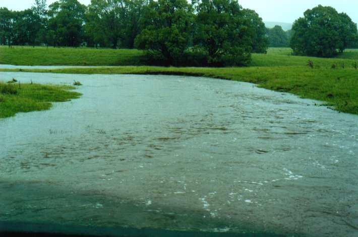 flashflooding flood_pictures : Eltham, NSW   1 February 2001