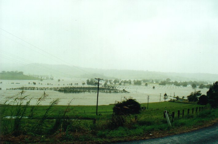 flashflooding flood_pictures : Eltham, NSW   2 February 2001