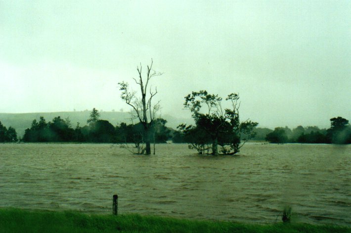 flashflooding flood_pictures : Eltham, NSW   2 February 2001